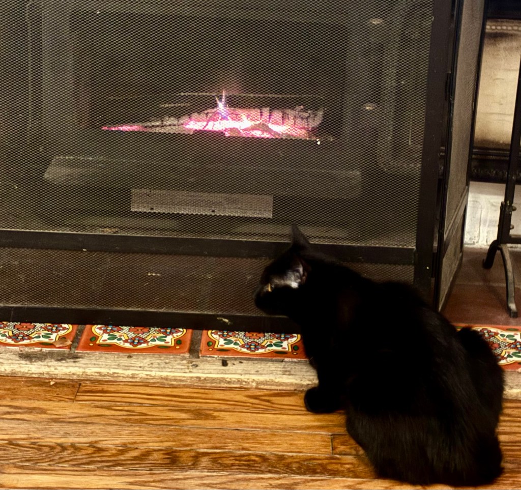 A little black cat crouches in front of a cozy fire burning in a fireplace.