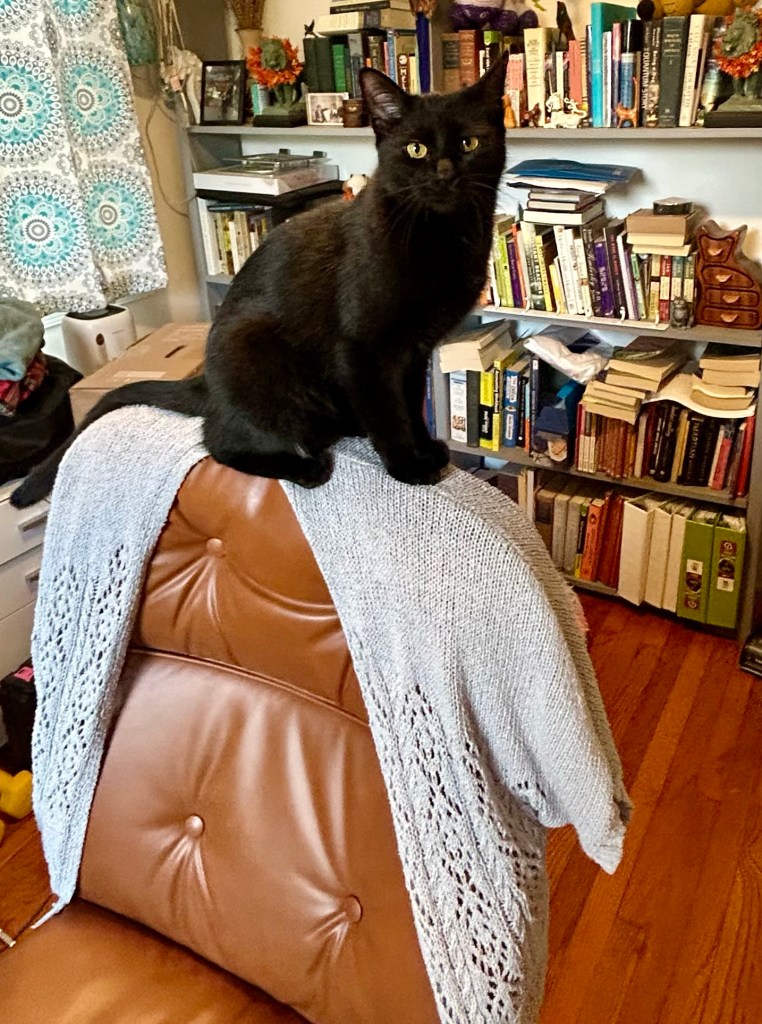 A young black cat sits upright on the back of an office chair.
