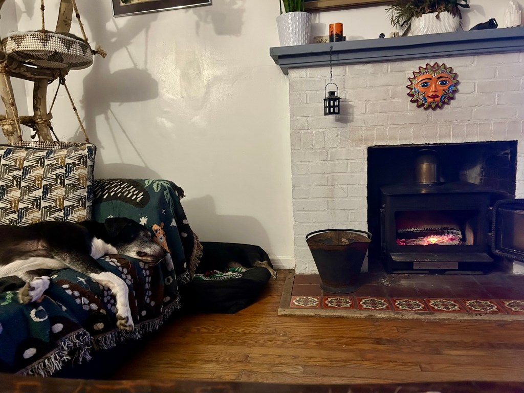 A handsome black and white hound lounges on a loveseat and looks over at a fire burning in a fireplace.