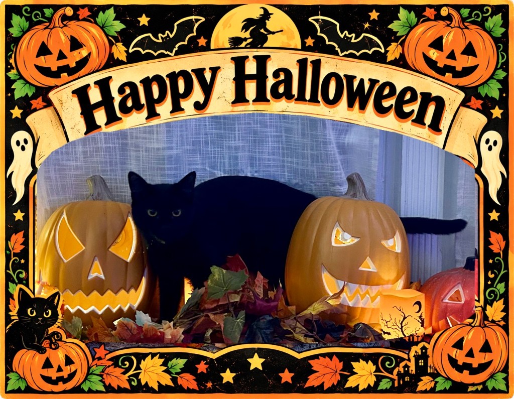 A black cat poses with 3 jack-o-lanterns and garlands of fall leaves.  A retro-style border surrounds the image with the words Happy Halloween at the top.